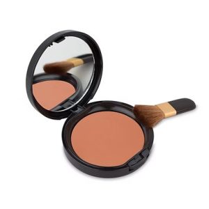 the star bronzer blush on